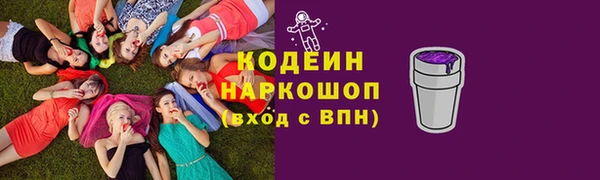 шишки Осташков