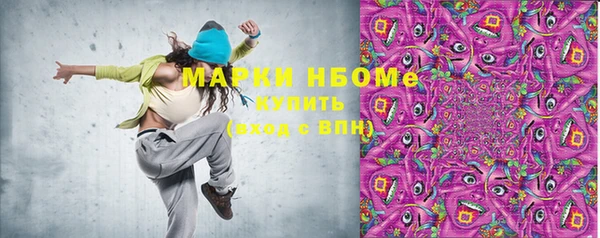 шишки Осташков