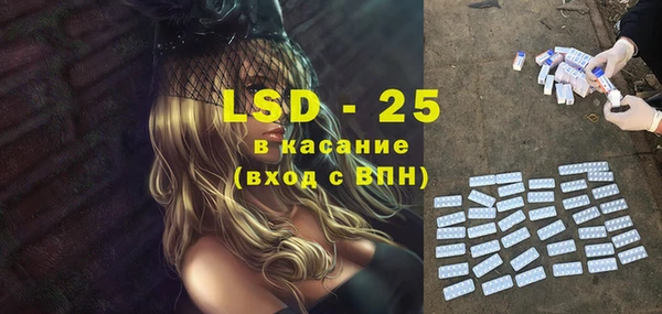 шишки Осташков