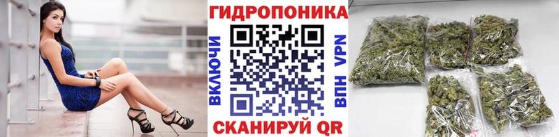 Шишки марихуана план  mega сайт  Углегорск  даркнет сайт 